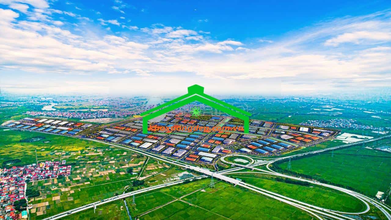 Ảnh 7