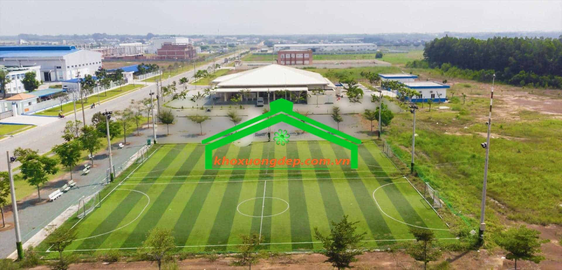 Ảnh 5