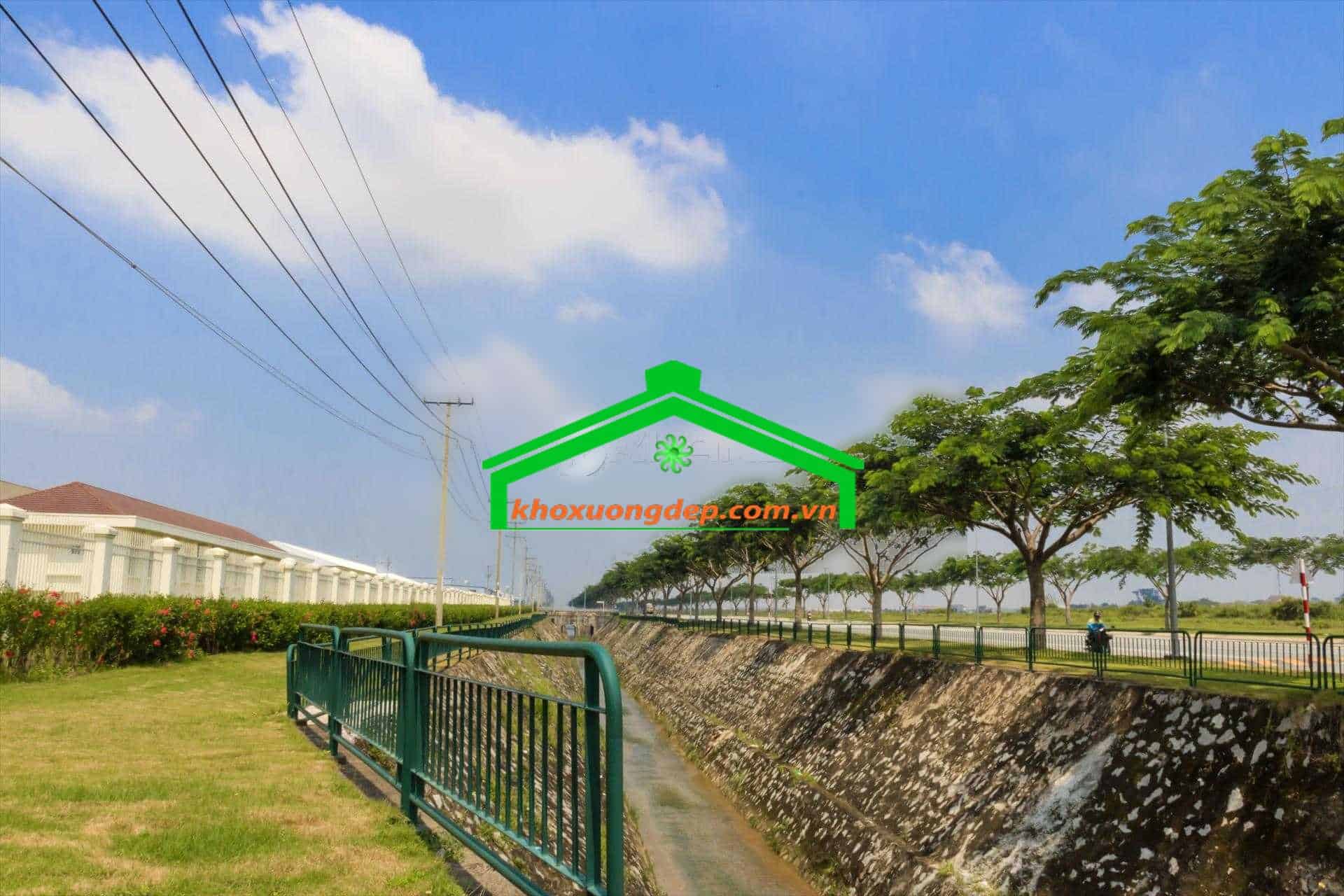 Ảnh 10