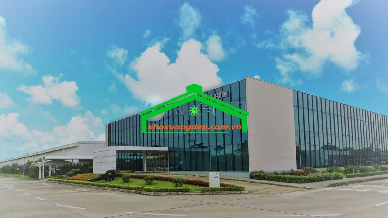 Ảnh 9