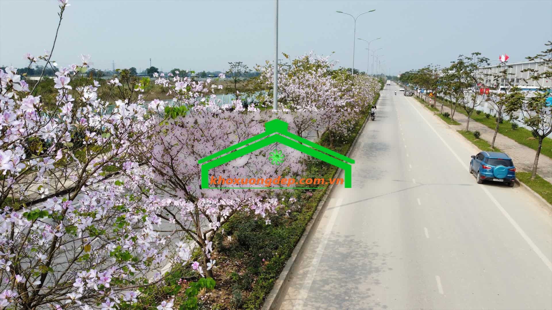Ảnh 16