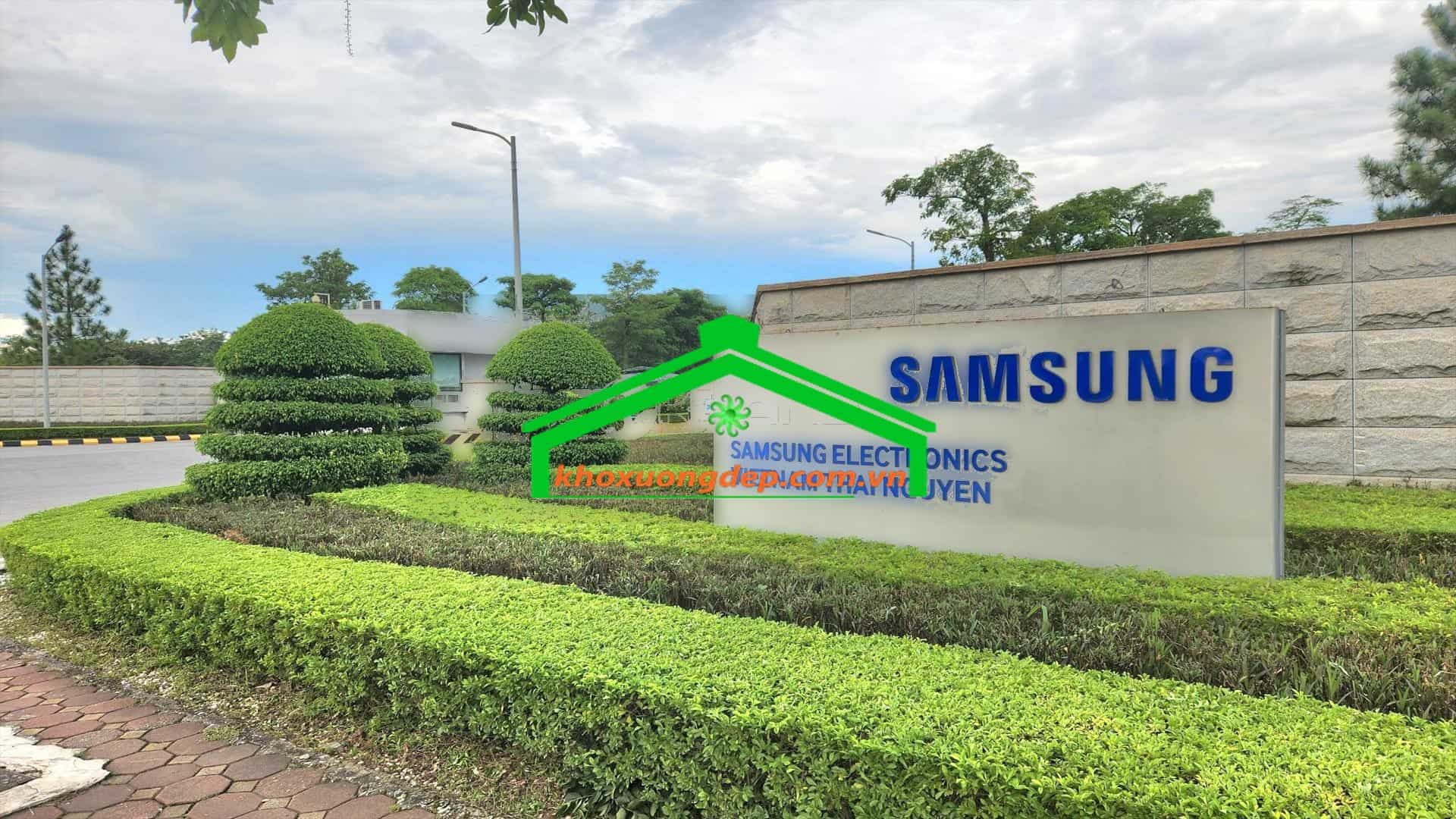 Ảnh 5