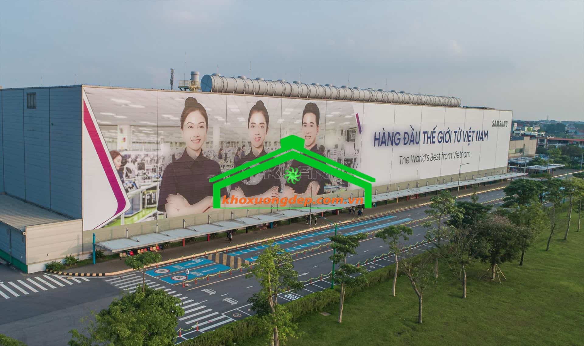 Ảnh 7