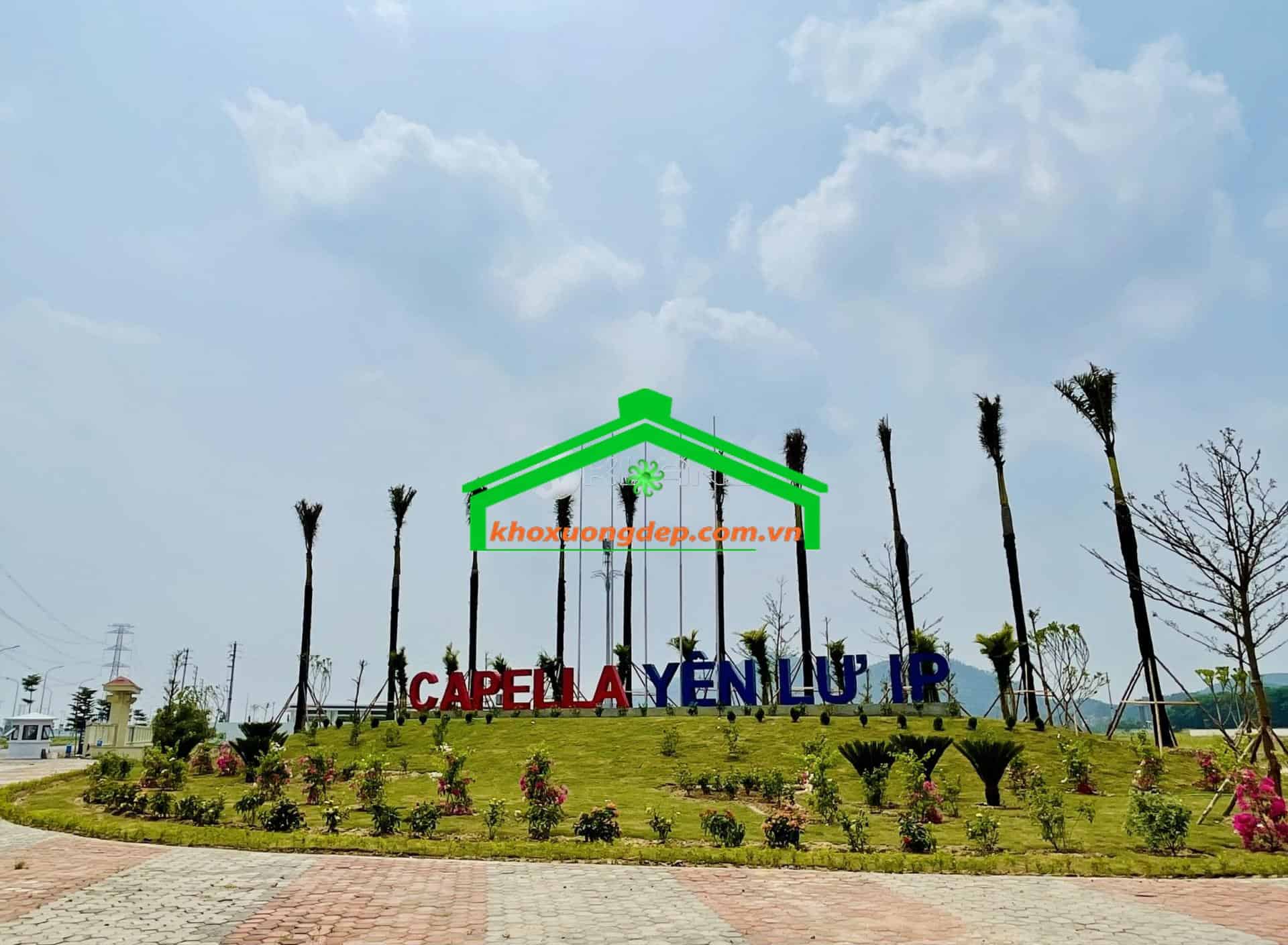 Ảnh 4