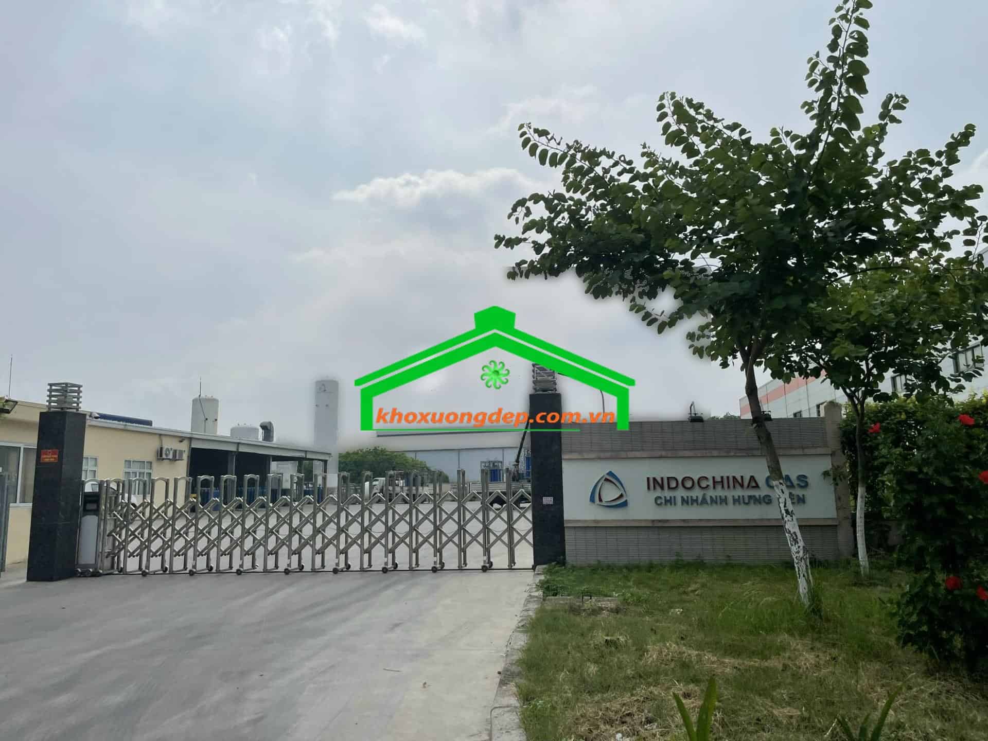 Ảnh 12