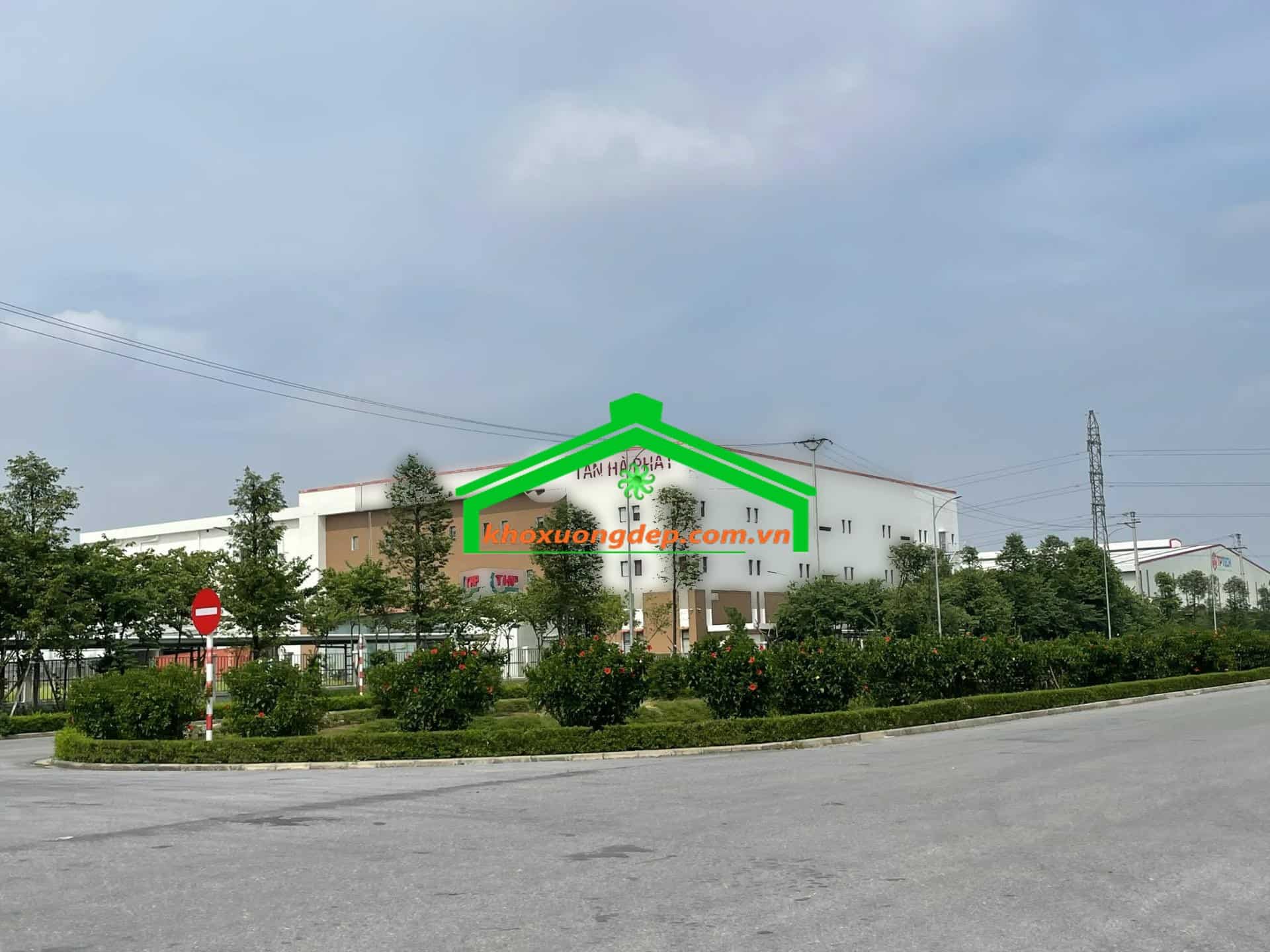 Ảnh 13