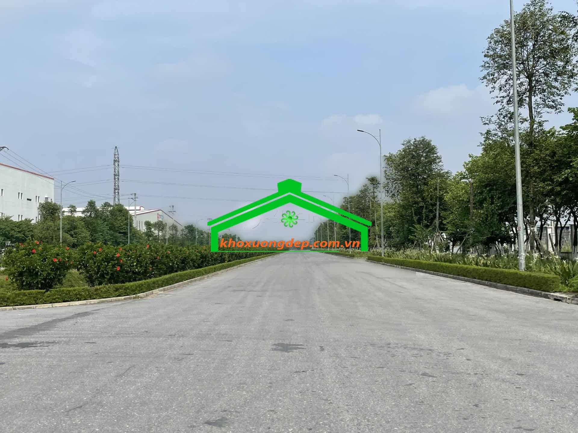 Ảnh 14