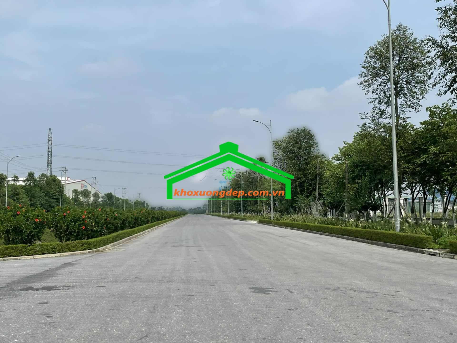 Ảnh 15