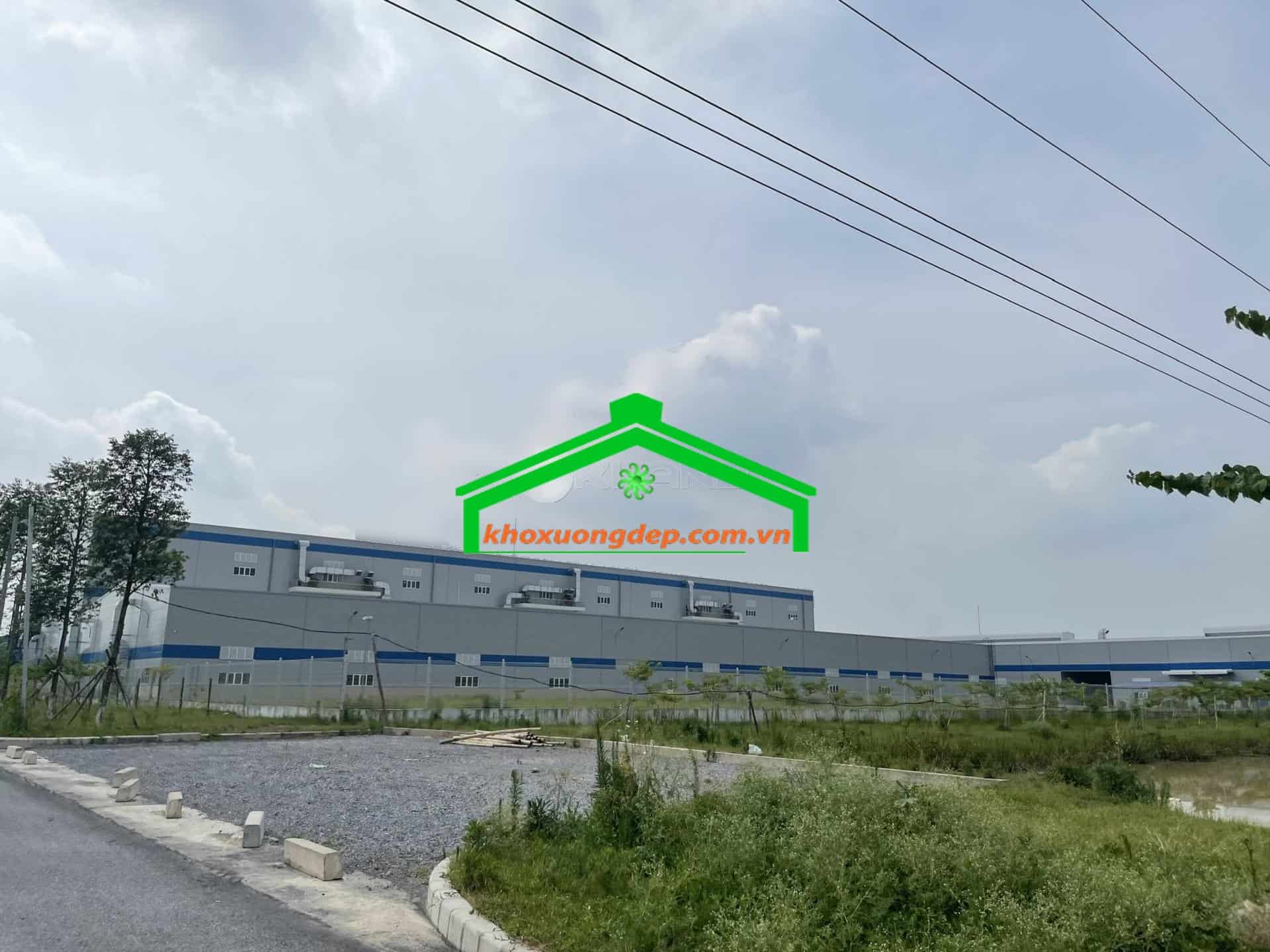Ảnh 6