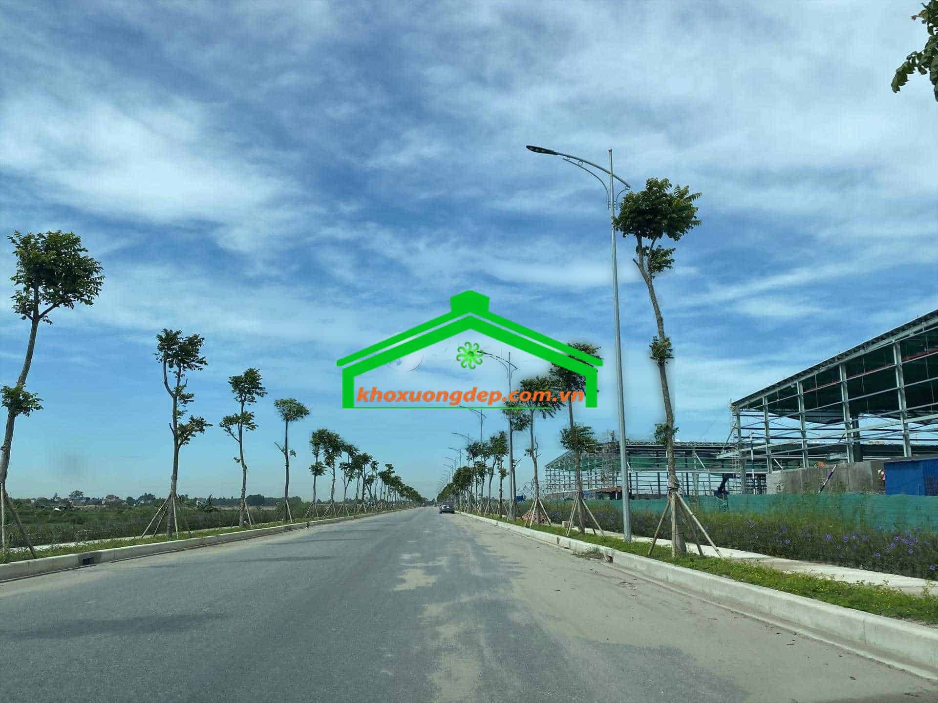Ảnh 20
