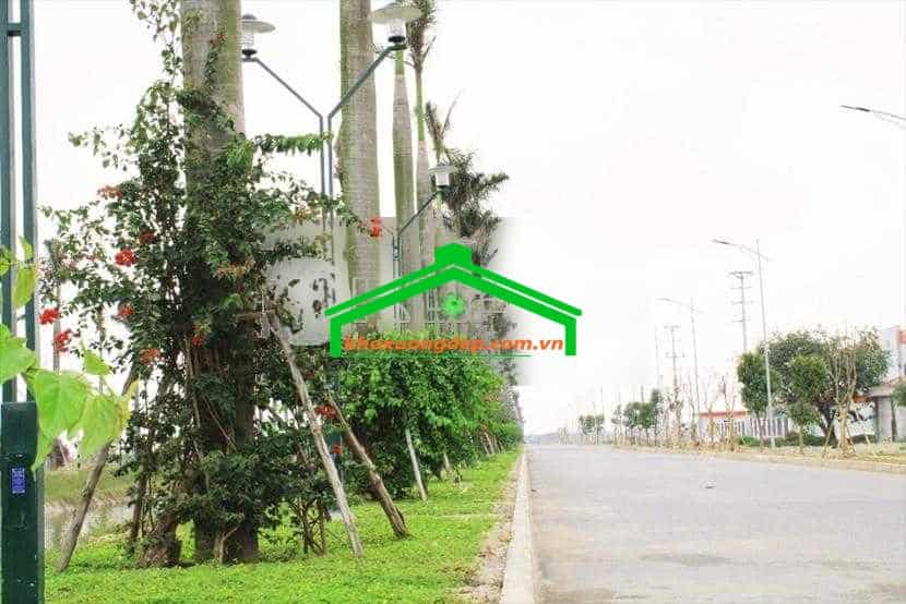 Ảnh 6