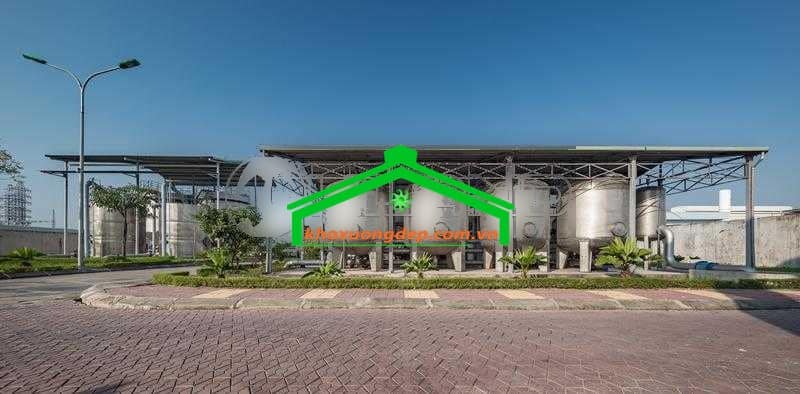 Ảnh 7