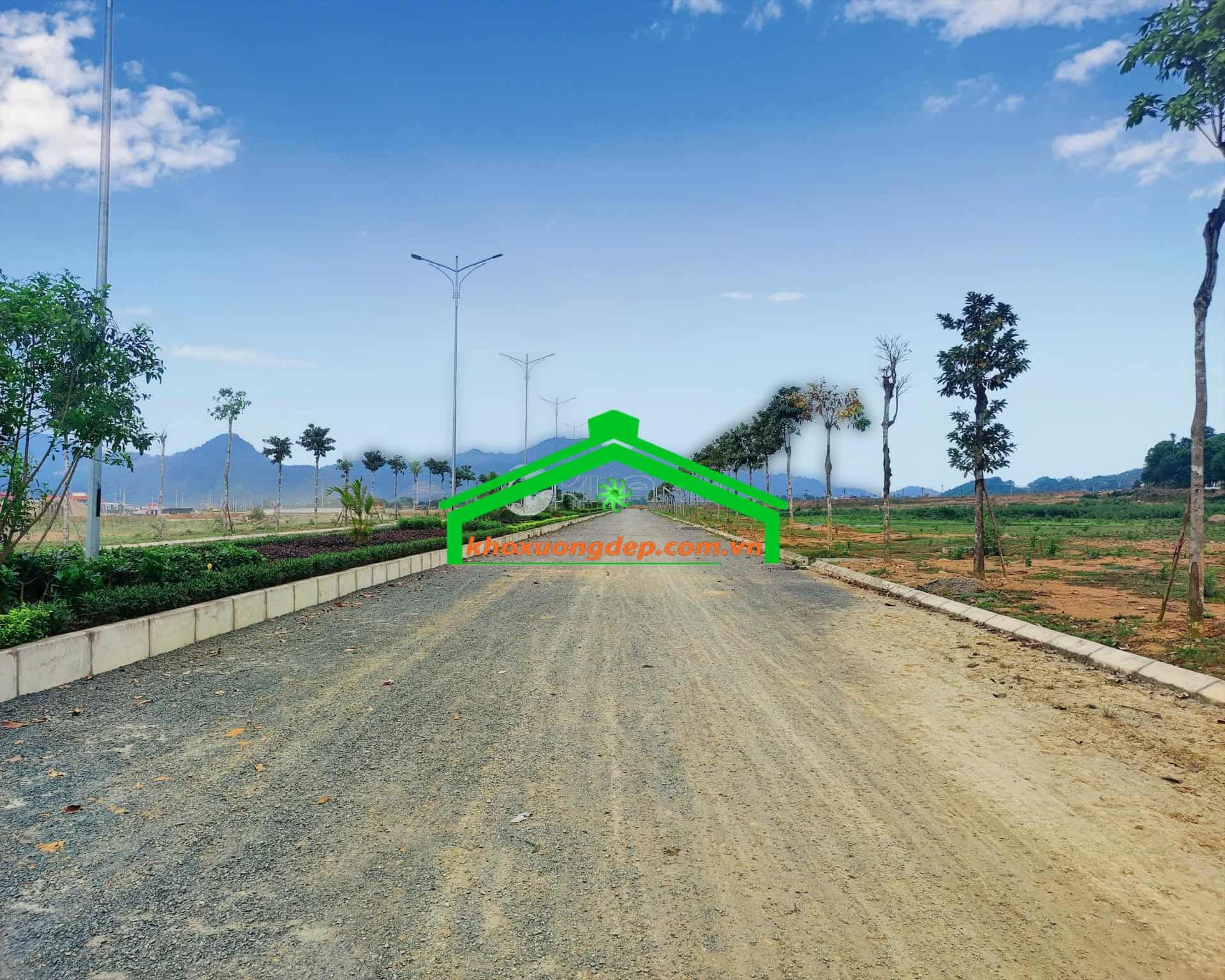 Ảnh 8