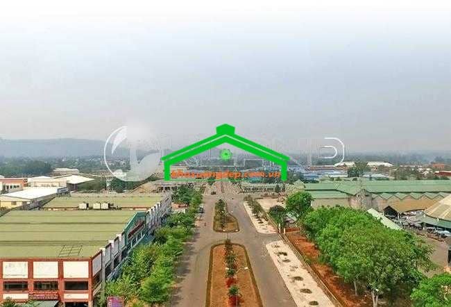 Ảnh 7
