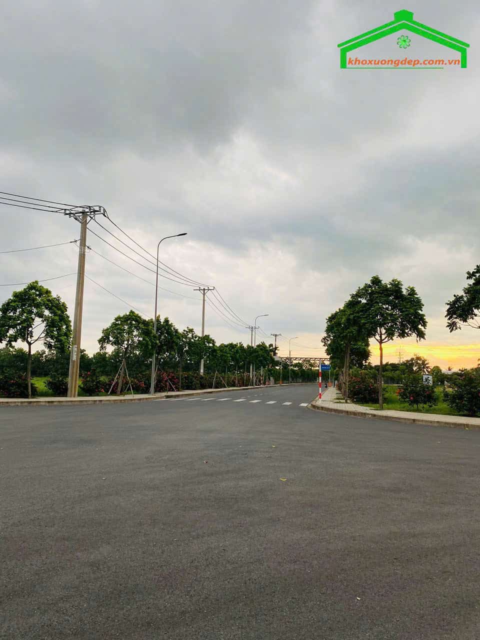Ảnh 3