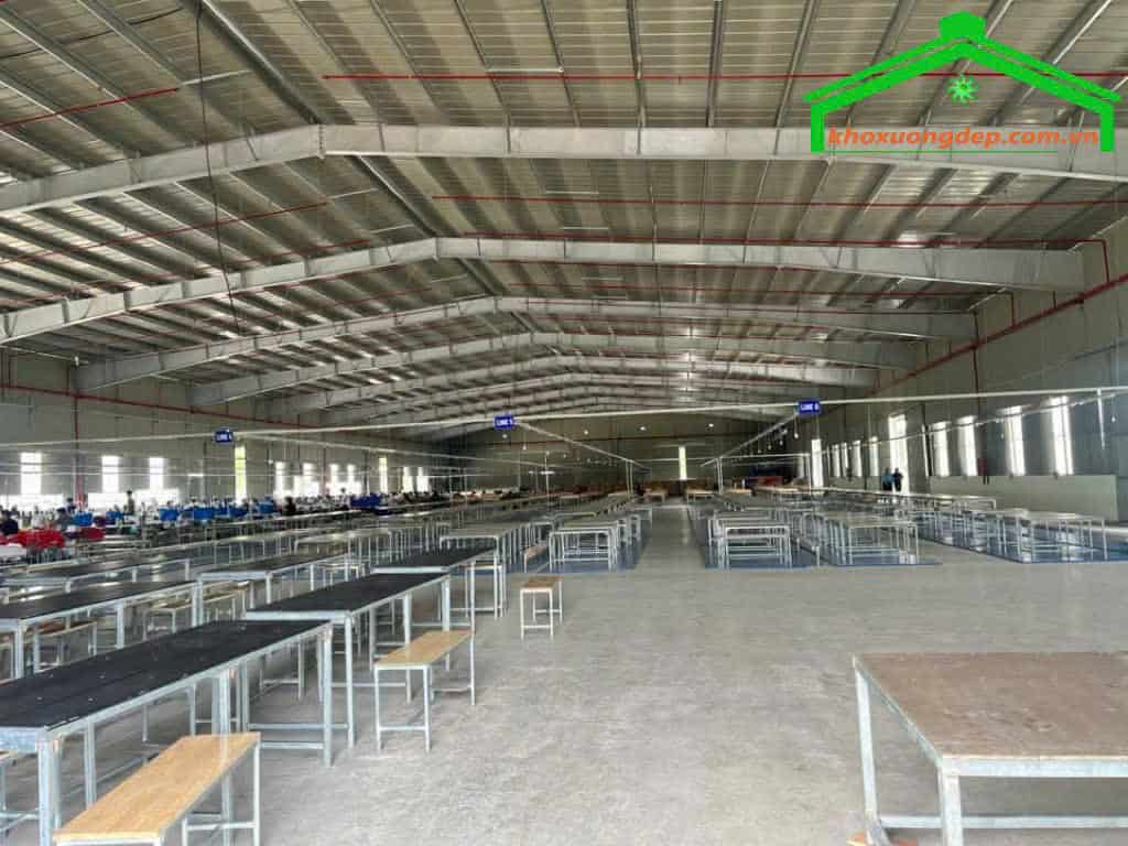 Ảnh 2