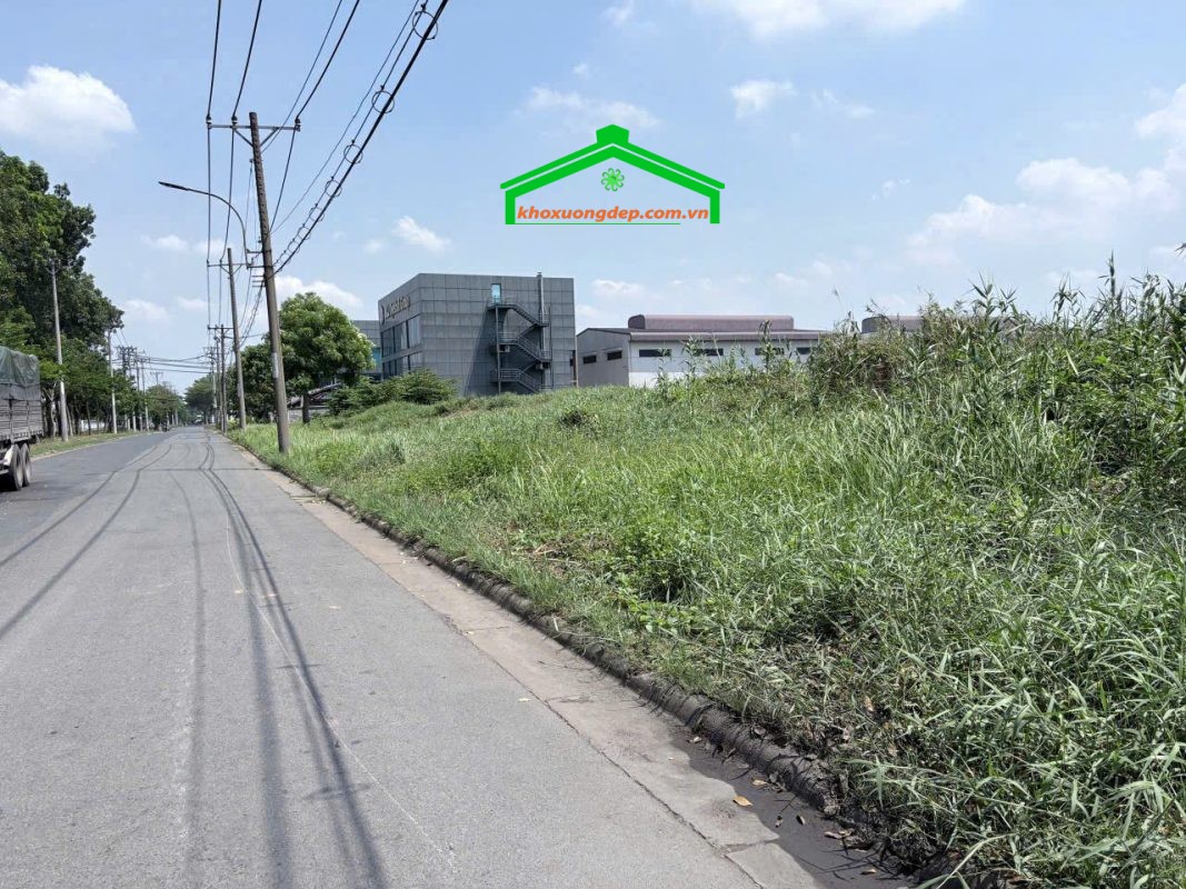 Bán đất 5000m2 tại Tân Tạo, HCM