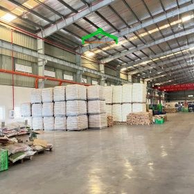Bán nhà xưởng 2000m2 mặt tiền Tân Tạo, Bình Tân