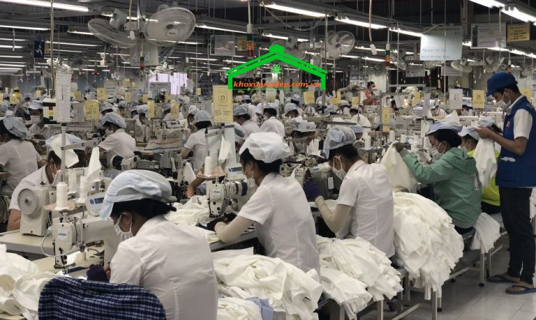 Danh sách các nghành nghề CCN Tây Bắc Đức Hòa Đông